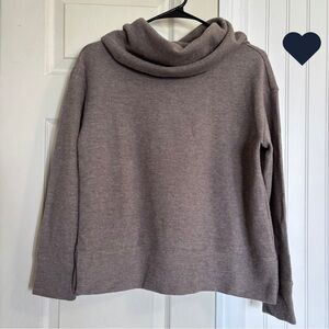 Banana Republic Repreve Cozy Cowl Neck Sweater neutral earth tone